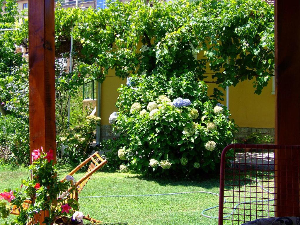 Holiday Home Vesna Budva Quarto foto